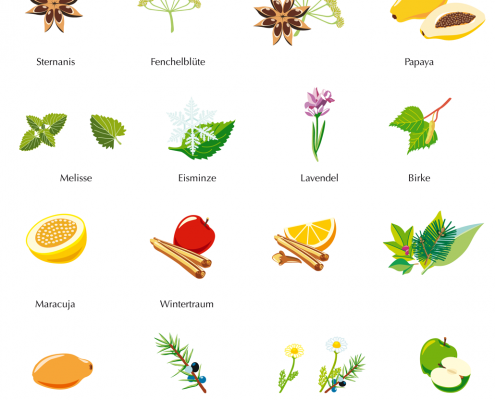 Icons von Früchten und Kräutern