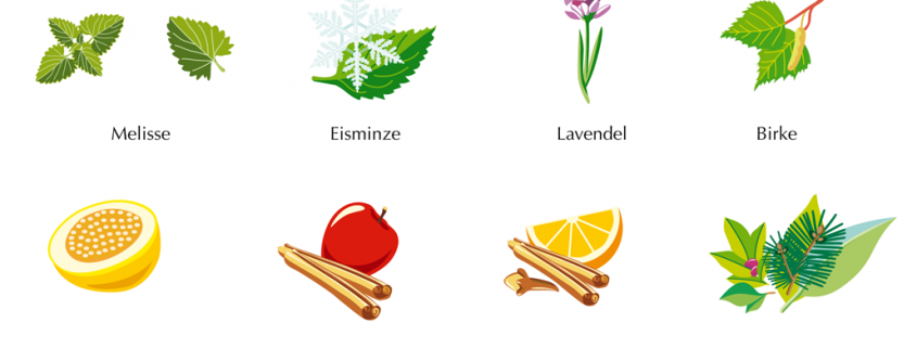 Icons von Früchten und Kräutern